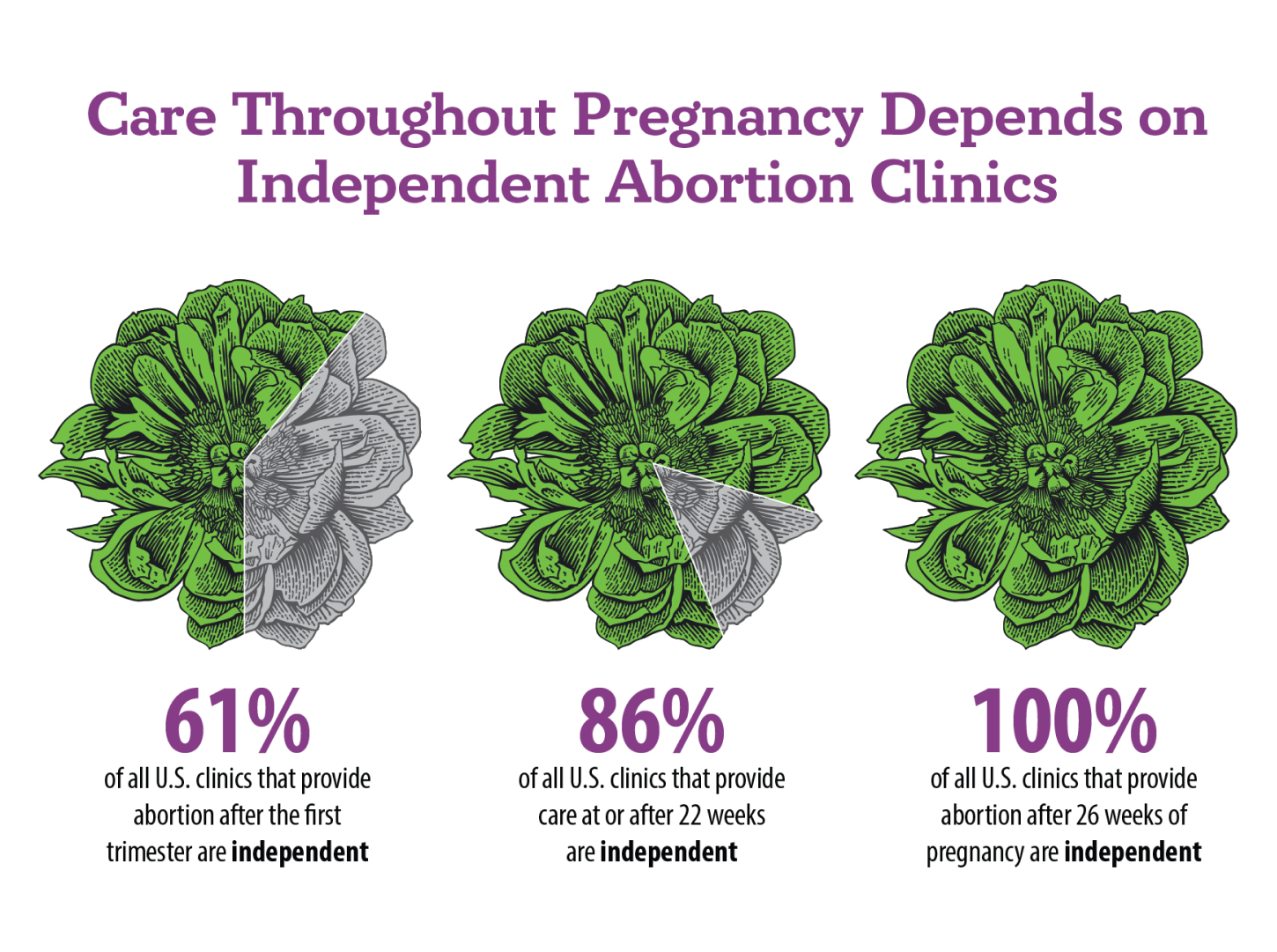 A set of three pie charts titled: Care Throughout Pregnancy Depends on Independent Abortion Clinics. The pie charts are linocut illustrations of a flower head divided into pieces to represent the percentages.A set of three pie charts titled: Care Throughout Pregnancy Depends on Independent Abortion Clinics. The pie charts are linocut illustrations of a flower head divided into pieces to represent the percentages.