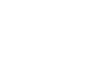 design choice logo, white