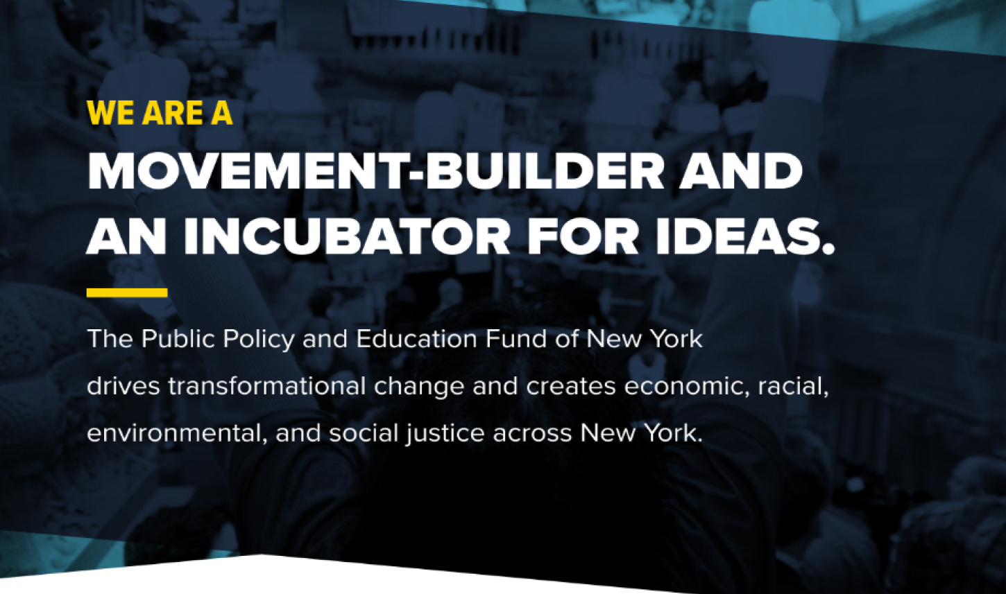 Homepage for Public Policy and Education Fund of New York